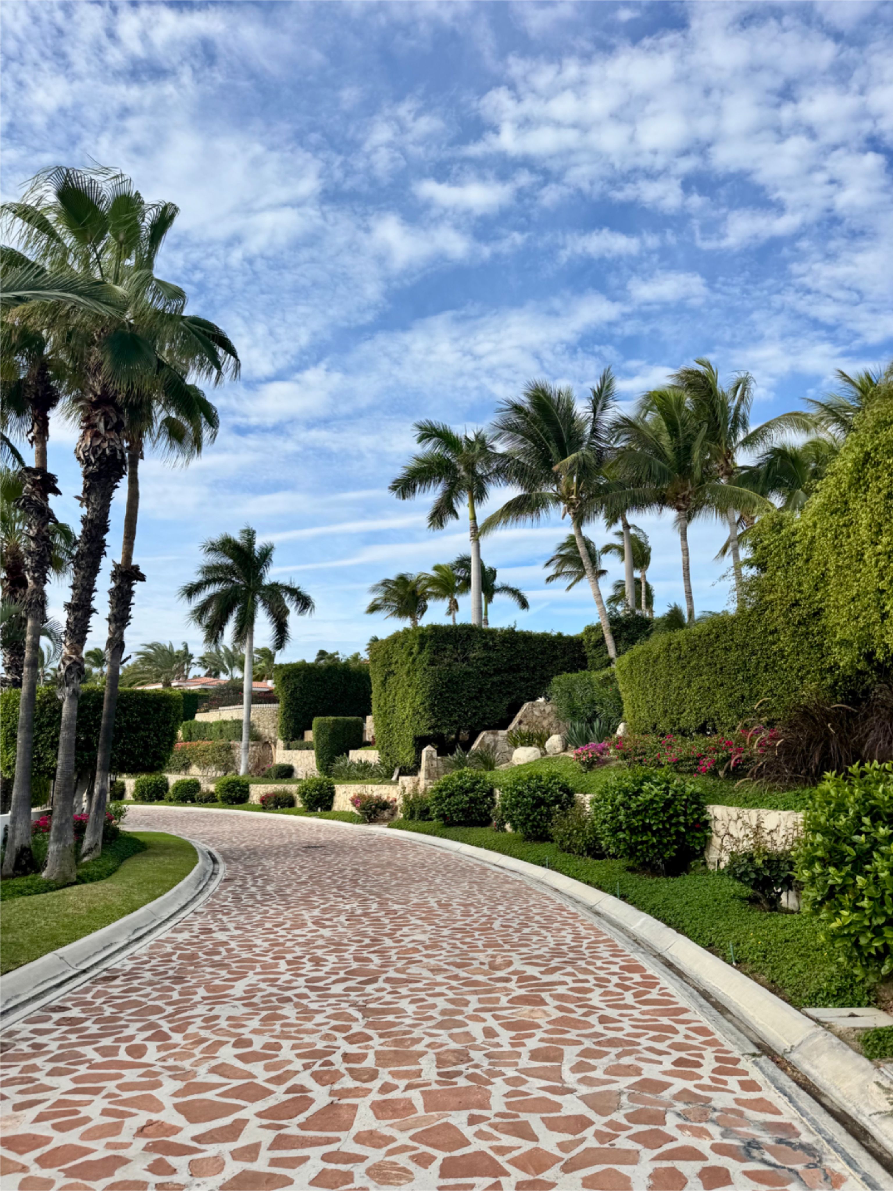 A winding driveway made of decorative pavers surrounded by lush greenery.